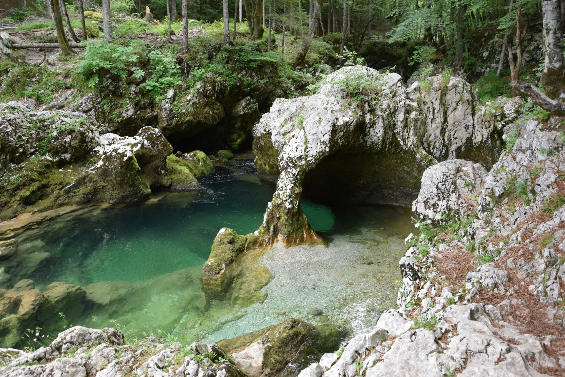 Trail to Mostnica Waterfall